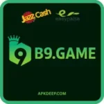 B9 Game